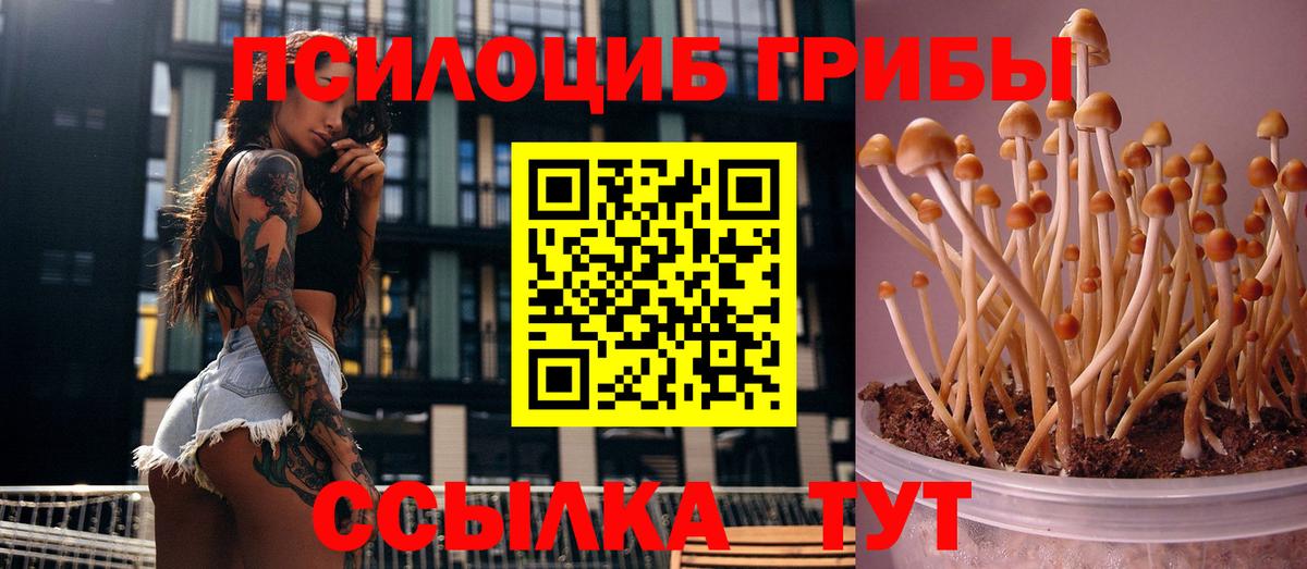 Изобильный  Псилоцибиновые грибы прущие грибы  Вход с VPN 